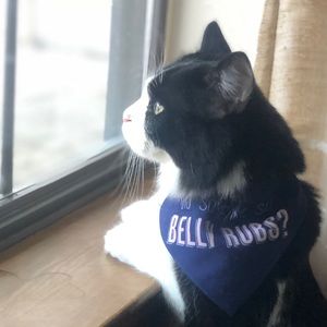 Meet your Posher, Colby